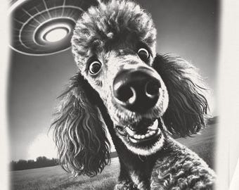 Poodle, Poodle Shirt, UFO Sweatshirt, Funny TShirt, Funny Dog Shirt, Vintage Dog Shirt, UFO Poodle, Dog Mom Dog Dad, Alien Shirt, Poodle Mom