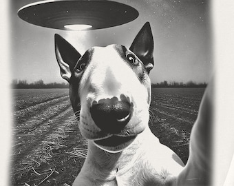 English Bull Terrier, Bull Terrier T-Shirt, UFO Sweatshirt, Funny TShirt, Funny Dog Shirt, Vintage Dog Shirt, Alien Shirt, Dog Mom, Dog Dad
