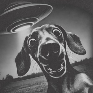 Dachshund Shirt, Wiener Dog, UFO Sweatshirt, Funny TShirt, Funny Dog Shirt, Vintage Dog Shirt, UFO Weenie Dog, Weenie Mom, Doxie Dad