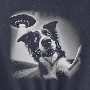 Könnte beinhalten: Ein schwarz-weißer Border Collie schaut mit einem überraschten Ausdruck zu einem fliegenden Untertassen. Der Hund trägt ein blaues Halsband und steht auf einer Straße. Das Bild ist in Schwarzweiß.