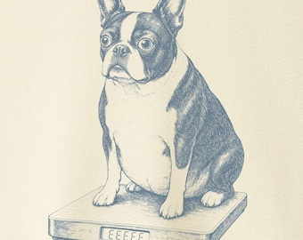 Boston Terrier Overweight Scale T-Shirt - Dog Shirt Sweatshirt Hoodie Taco Dog