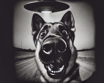 German Shepherd, GSD Shirt, UFO Sweatshirt, Funny TShirt, Funny Dog Shirt, Vintage Dog Shirt, Alien Shirt, Dog Mom, Dog Dad