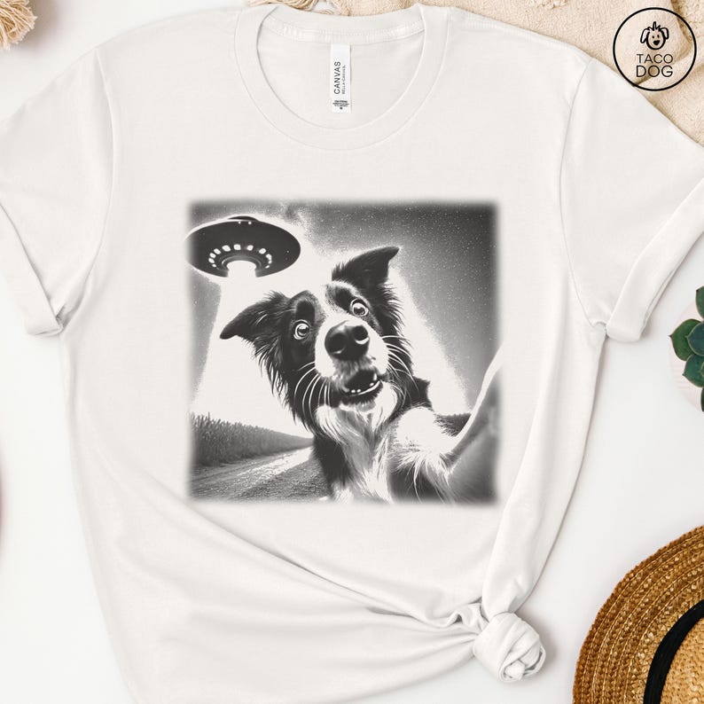 May include: A black and white photo of a border collie dog looking up at a UFO. The dog has a surprised expression on its face.