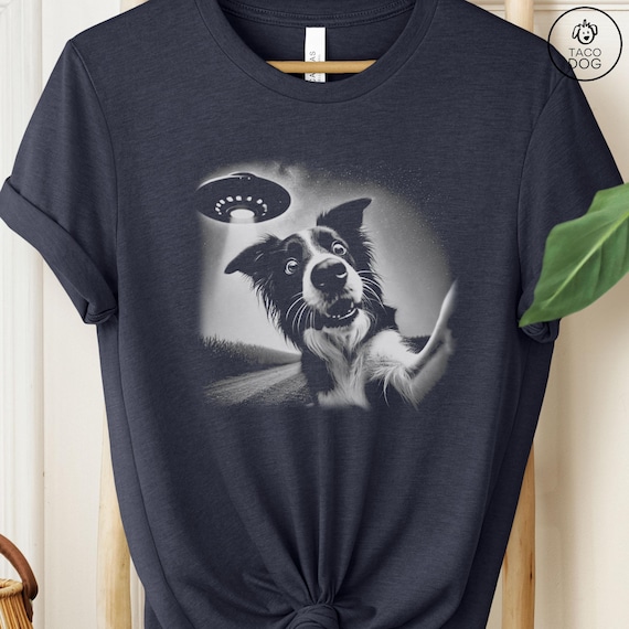 Border Collie, Border Collie Shirt, UFO Sweatshirt, Funny Tshirt
