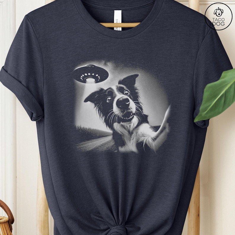 May include: A black and white border collie dog looks up at a flying saucer with a surprised expression. The dog is wearing a blue collar and is standing on a road. The image is in black and white.