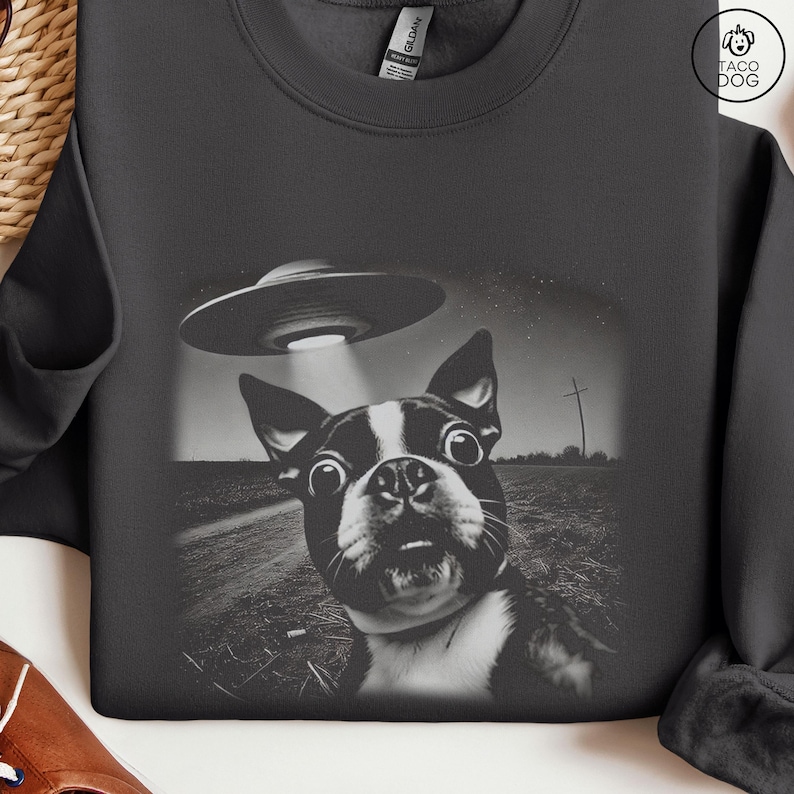 May include: A black and white photo of a Boston Terrier dog looking up at a UFO. The dog has a surprised expression on its face. The UFO is hovering above the dog, casting a beam of light down on it.