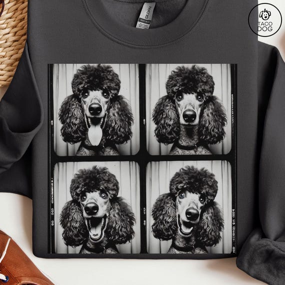 Poodle T-shirt, Photobooth Sweatshirt, Funny Tshirt, Funny Dog