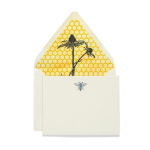 Conjuntos de tarjetas de notas Fancy Pants / Abeja