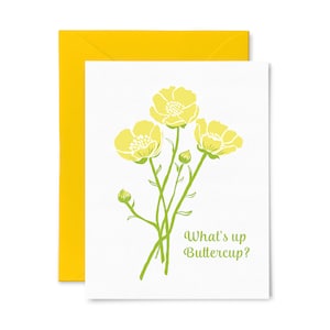 Buttercup | What&#39;s Up | Letterpress Greeting Card