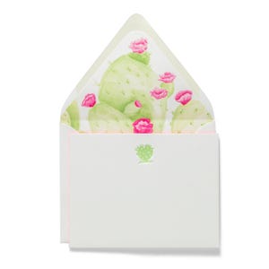 Fancy Pants Notecards Set | Cactus