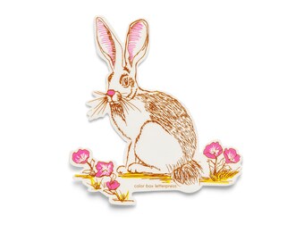 Jack Rabbit | Sticker