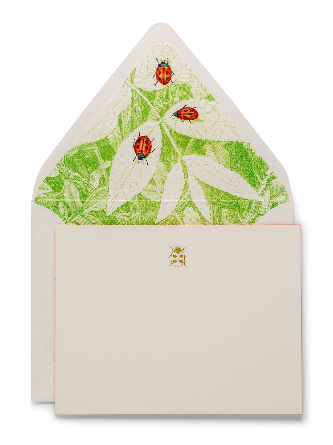 Fancy Pants Notecards Set | Ladybug - Etsy