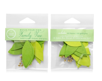 Family Tree | Refill Packs