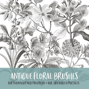 Fleurs antiques Photoshop et pinceaux Procreate avec des fichiers PNG