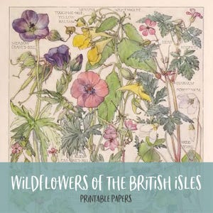 Wildflowers of the British Isles Printable Journal Pages Bundle Junk Journal Kit