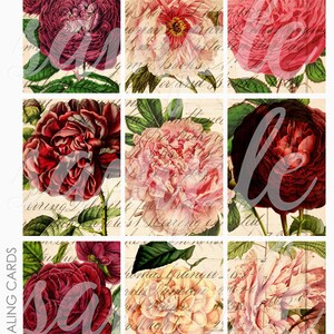 Feuille de collage d'arrière-plans de cartes de journalisation Project Life ATC ACEO Floral 5 pour journalisation indésirable