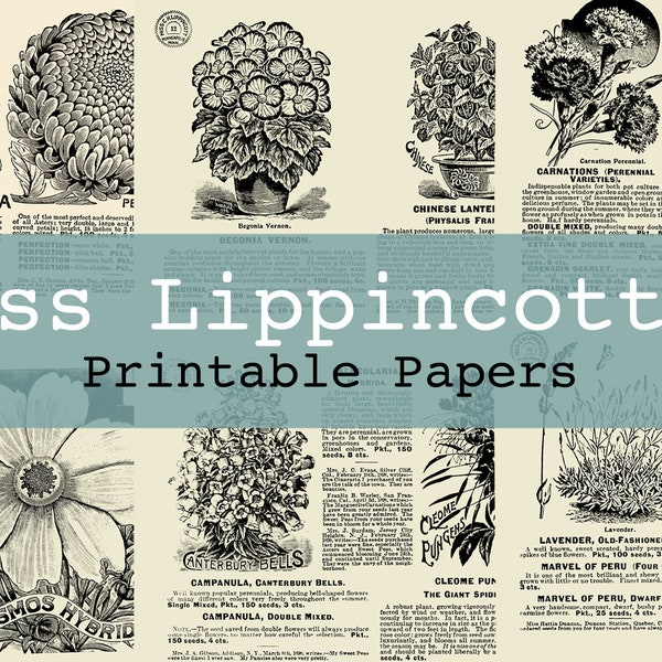 Miss Lippincott's Flower Seeds Printable Journal Pages Junk Journal Kit