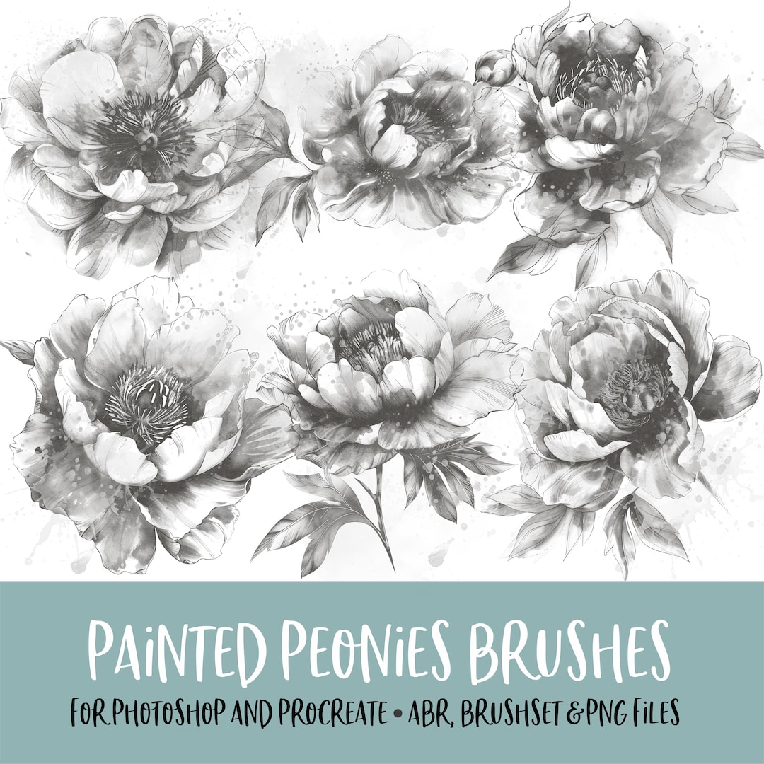 Painted Peonies Brushes for Photoshop and Procreate With PNG Files for ...