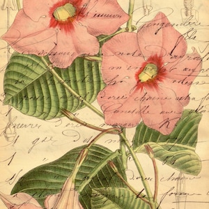 Hoja de collage digital imprimible n.º 84 para revistas basura y álbumes de recortes digitales