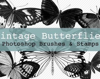Vintage Butterflies Photoshop Brushes and PNG Files