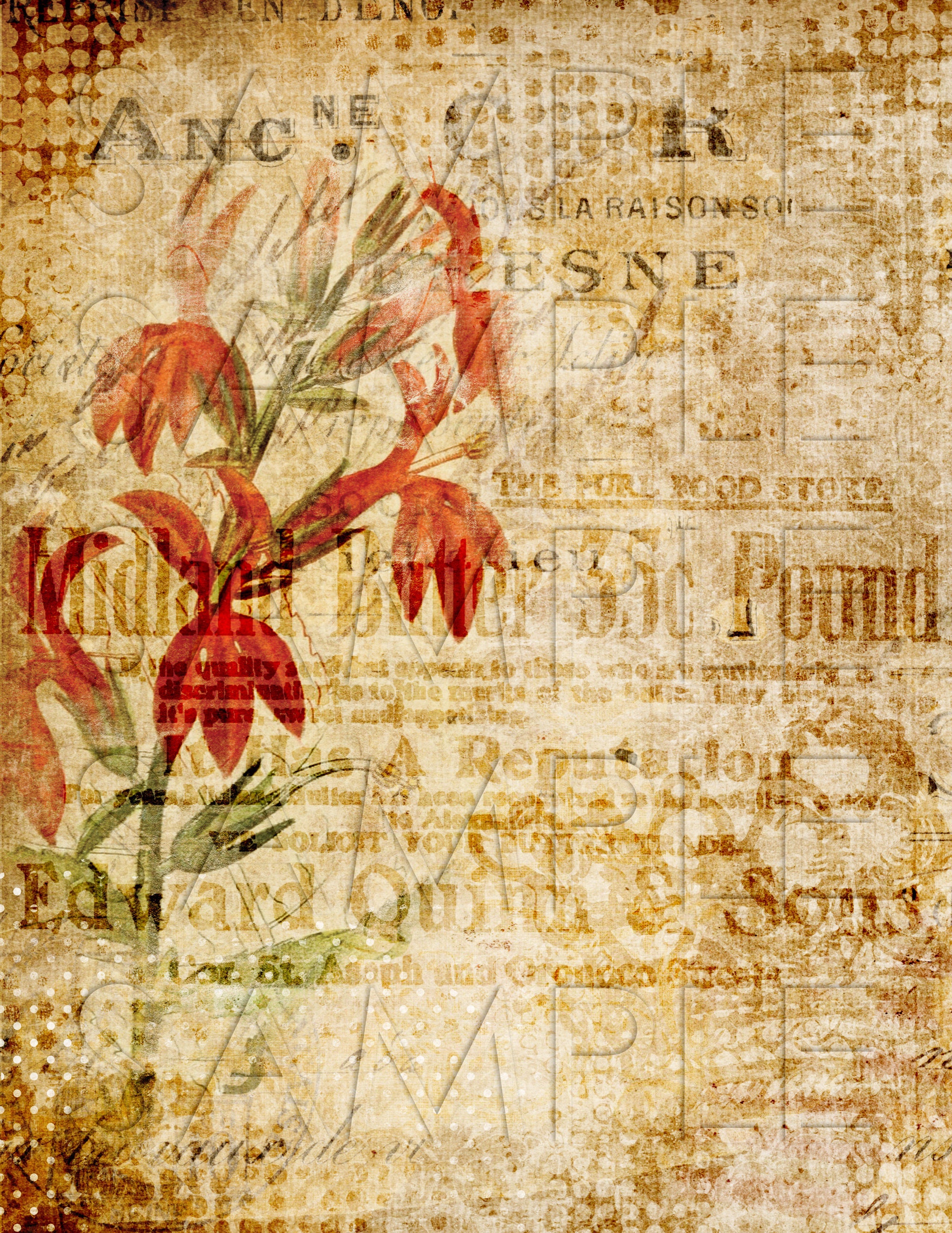 コラージュジャーナル*『』 91Zxiotey2L.jpg_BO30,255,255,