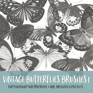 Vintage Butterflies Brushes 1 for Photoshop and Procreate with PNG Files for Commercial Use