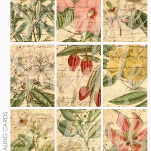 Feuille de collage 1 d'arrière-plans de cartes de journalisation Project Life de French Botanicals ATC ACEO pour la journalisation indésirable