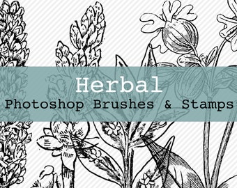 Photoshop Brushes - Herbal - Art Journaling & Mixed Media Brushes and Digital Stamps