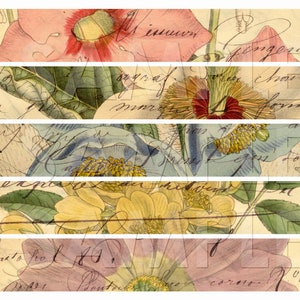 Printable Botanicals 1 Bookmark Belly Band Collage Sheet for Junk Journaling, Digital Scrapbooking, Planners, or Paper Crafting