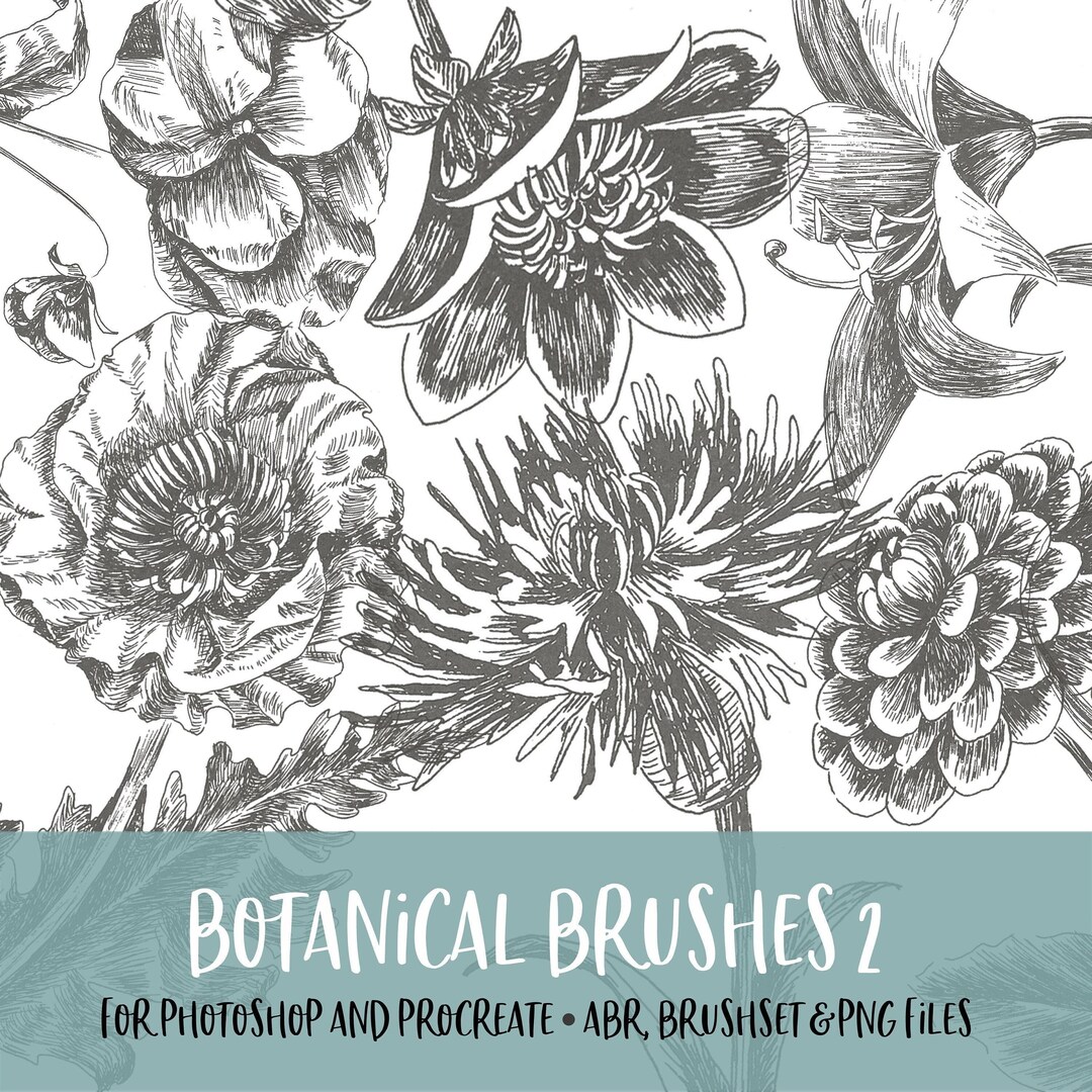 Botanical Brushes 2 Photoshop and Procreate Brushes With PNG Files for ...