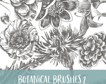 Botanical Brushes 2 Pincéis para Photoshop e Procreate com arquivos PNG para uso comercial