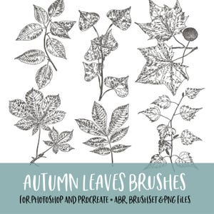 Autumn Leaves Photoshop and Procreate Brushes with PNG Files for Commercial Use