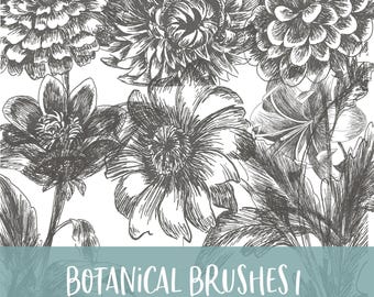 Pincéis botânicos 1 Pincéis para Photoshop e Procreate com arquivos PNG para uso comercial