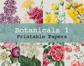 Botanicals 1 Printable Digital Background and Journal Papers Junk Journal Kit