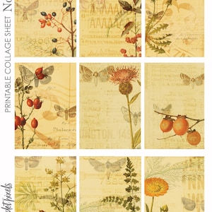 Digital Collage Sheet Printable No. 56 for Junk Journaling