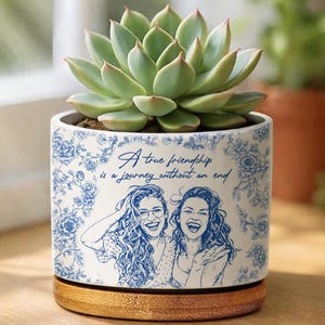 Puede incluir: Una maceta de cerámica con una planta suculenta. La maceta blanca presenta un diseño floral azul y un dibujo de dos mujeres con el texto "A true friendship is a journey without an end". La maceta se asienta sobre una base de madera.