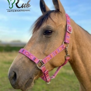 May include: A light brown horse wearing a pink, orange, and purple patterned headcollar with silver-coloured metal hardware. The text "Rub INTERNATIONAL" appears in the upper left corner of the image, featuring a green horse head logo.