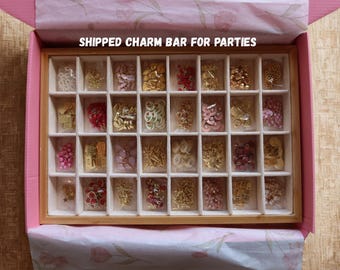 DIY Charm Bar Party Kit – Jewelry Making Supplies for Bracelets, Necklaces, Keychains