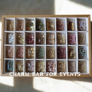 May include: A rectangular wooden organizer tray with thirty-two individual compartments, each containing a small clear plastic bag filled with various metal and plastic charms in assorted colors and shapes. The text CHARM BAR FOR EVENTS is printed in white at the bottom.