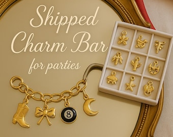 DIY Charm Bar Party Kit - Shipped Charm Bracelet Station