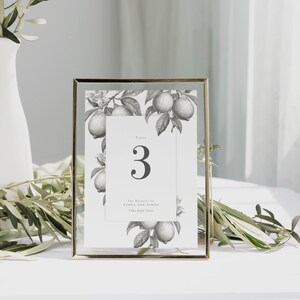 Lemon design wedding table number 3 in grey and white shown displayed in a frame with olive branch behind.