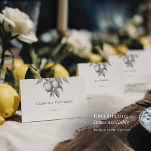 Monochrome lemon wedding place cards lined up at a reception table with citrus fruits and roses behind. Coordinating items available in our store