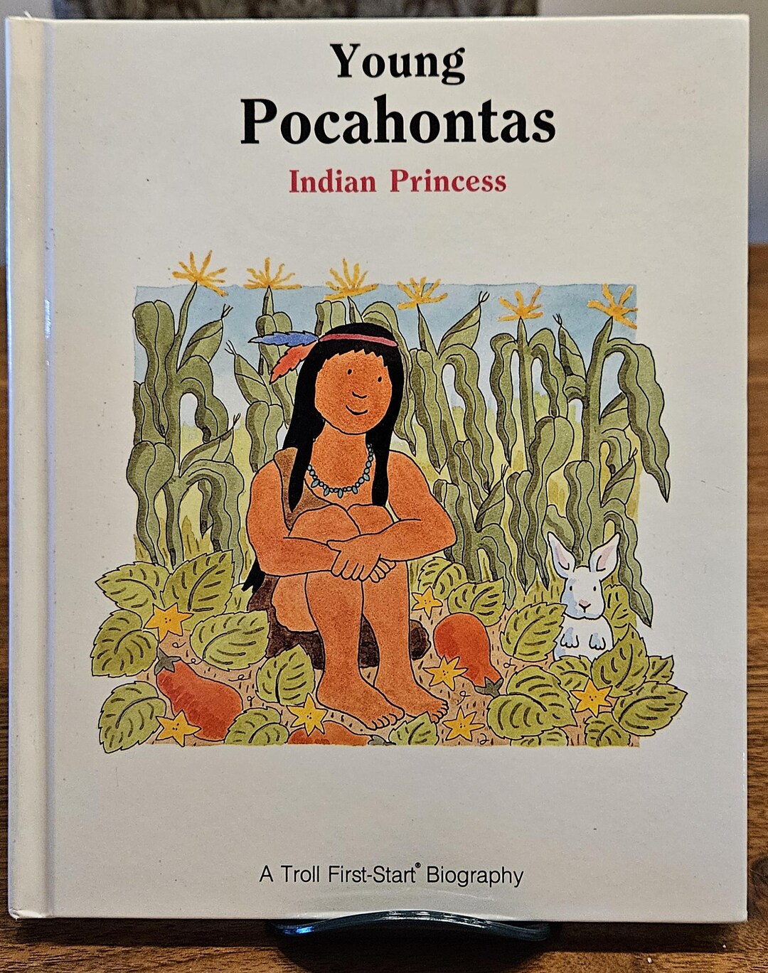 Young Pocahontas Indian Princess - Ann Benjamin, Vintage, Hardcover ...