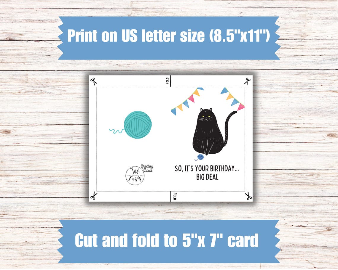 Printable Rude Box Printable Rude Cat Birthday Card, Digital Card, Print at Home - Etsy