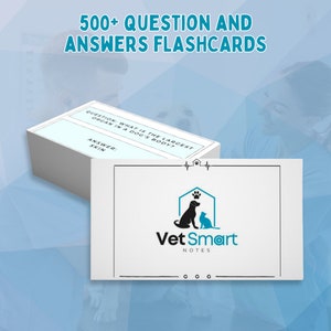 Paquete de estudio veterinario integral con tarjetas didácticas con preguntas y respuestas para estudiantes de veterinaria BCSE y NAVLE