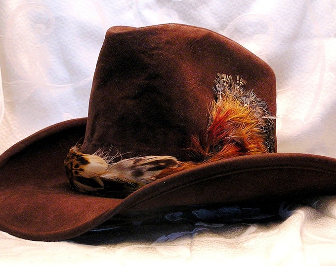 Vintage Bailey Cowboy Hat With Pheasant Feather Trim. Etsy