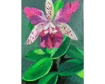 Orchid, original acrylic painting on canvas board, 5x7, home decor , flowers