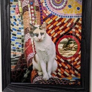 Gato Mosaico by Marni Hills Mosaic Cat Photo Art Wall Decor