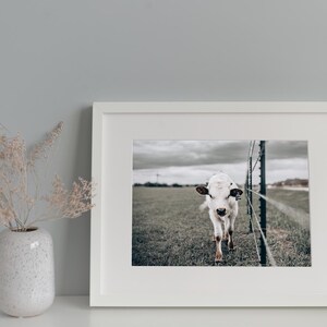 Cow Print Download – Rustic Farm Animal Wall Art, Country Landscape Printable, Moody Western Photography, “Peebles in the Field”