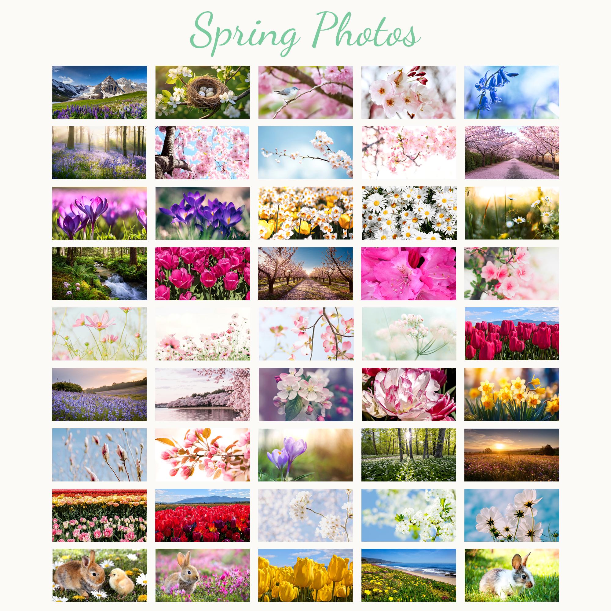 Spring Tv Background Spring Frame TV Art Mega Bundle, Spring Tv Screensaver, Seasons Samsung ...